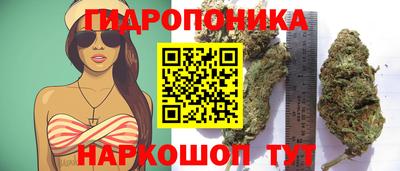 меф Будённовск