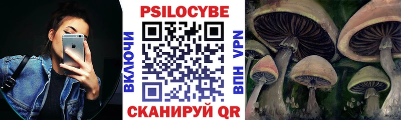 Галлюциногенные грибы Psilocybine cubensis  Ливны 